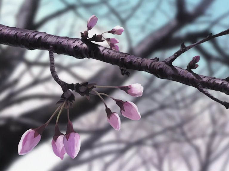 Love Hina spring (Fansubber)